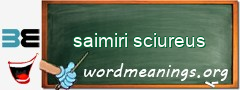 WordMeaning blackboard for saimiri sciureus